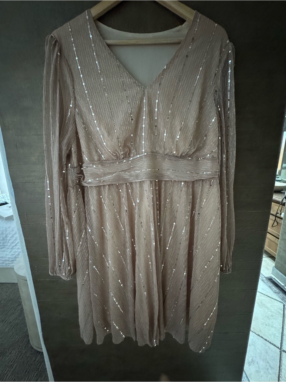 SHEIN champagne  Sequin V-Neck Long Sleeve Dress